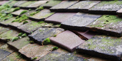 Great Shefford roof repair costs